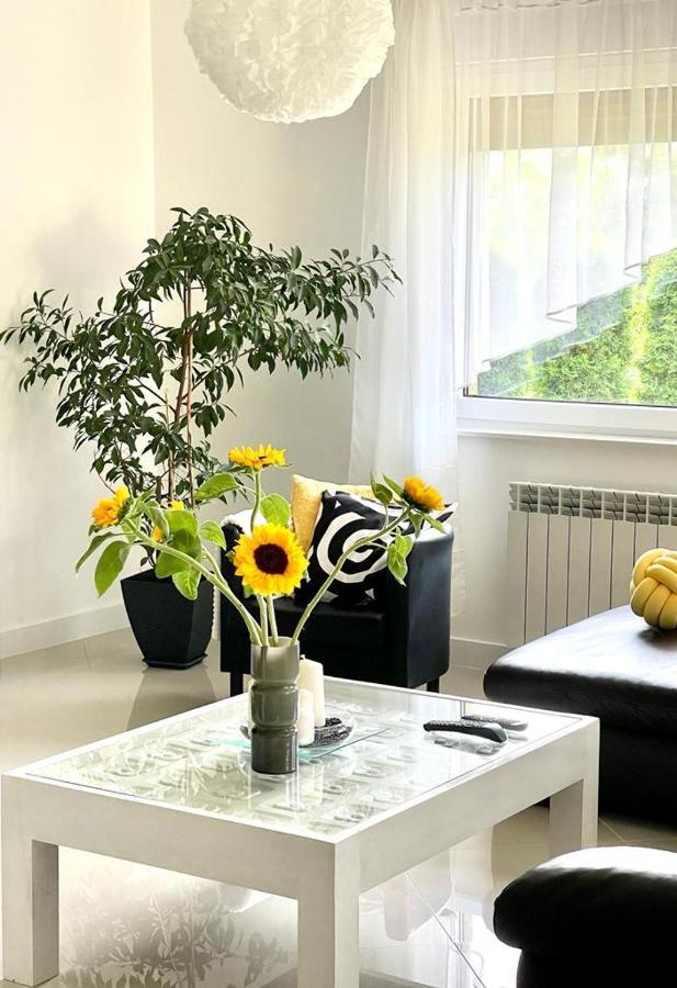 U Gosi Zator Villa Exteriör bild